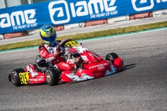 IAME-ADRIA-3491